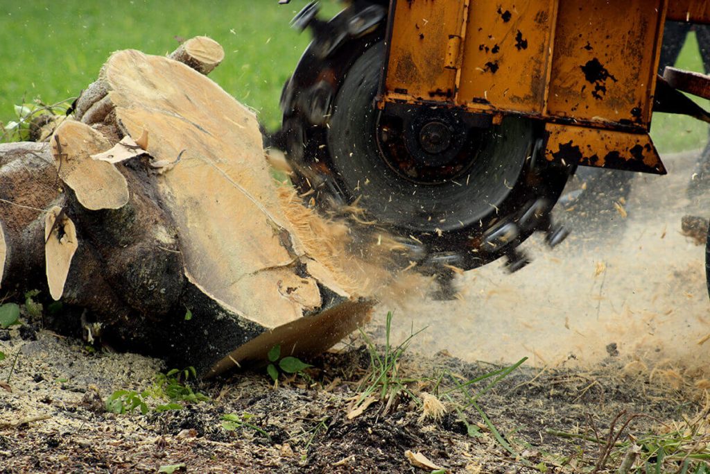 Stump Grinding Manchester